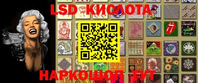 гидропоника Рязань