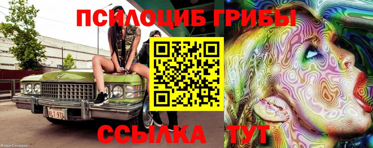 Галлюциногенные грибы MAGIC MUSHROOMS Ртищево