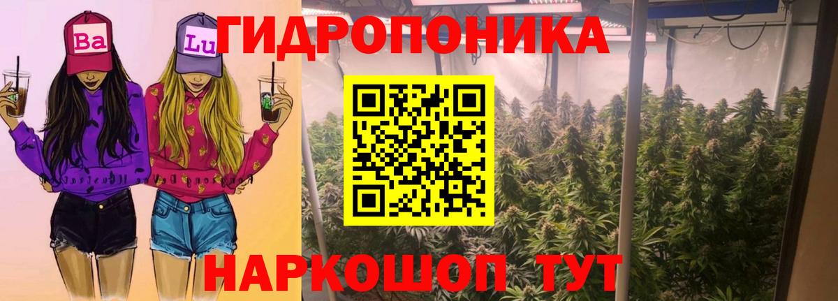 Ртищево  Бошки Шишки конопля  Конопля гибрид  Бошки Шишки тримм  Вход с VPN 